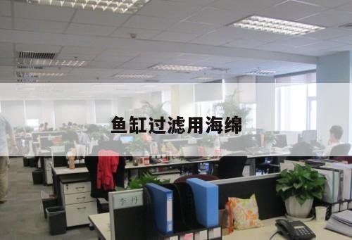 魚缸過濾用海綿